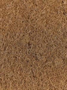 Untitled design (56)