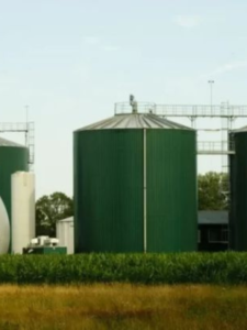 Untitled design (58)