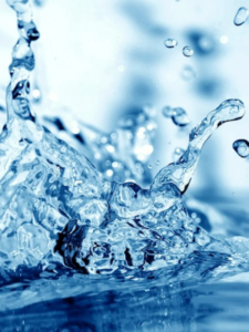 Untitled design (59)